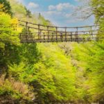 ここだけは押さえておきたい国の経営支援